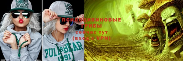 прущая мука Арсеньев