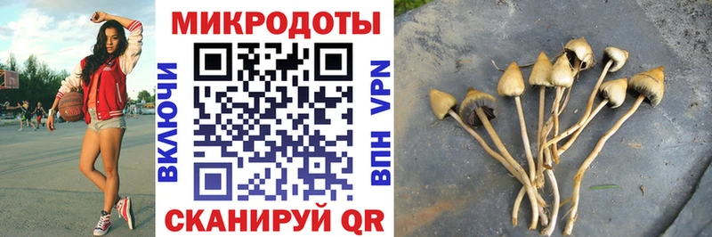 Галлюциногенные грибы Magic Shrooms  Сольвычегодск 
